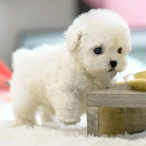 PuppiBot™ Interactif avec Mouvements Réalistes