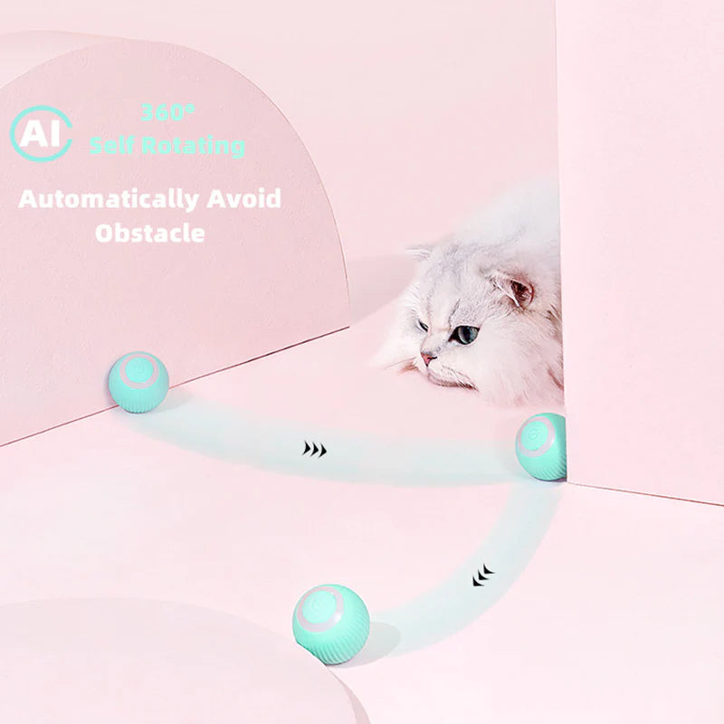 PurrPlay™ - Activez les instincts naturels de votre chat ! | 50% DE RÉDUCTION