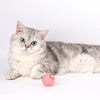 FÉLIBALL™ BALLE INTERACTIVE 2.0 POUR CHAT