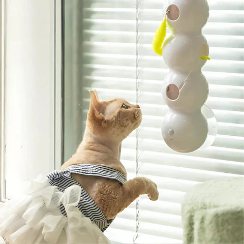 Cling’n’Play™ – Jouet Interactif pour Chat aux Mouvements Sinueux