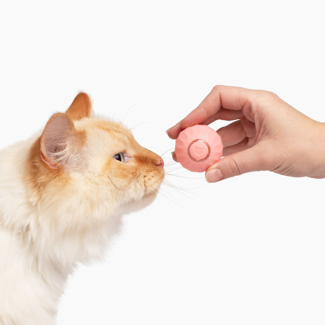 FÉLIBALL™ BALLE INTERACTIVE 2.0 POUR CHAT