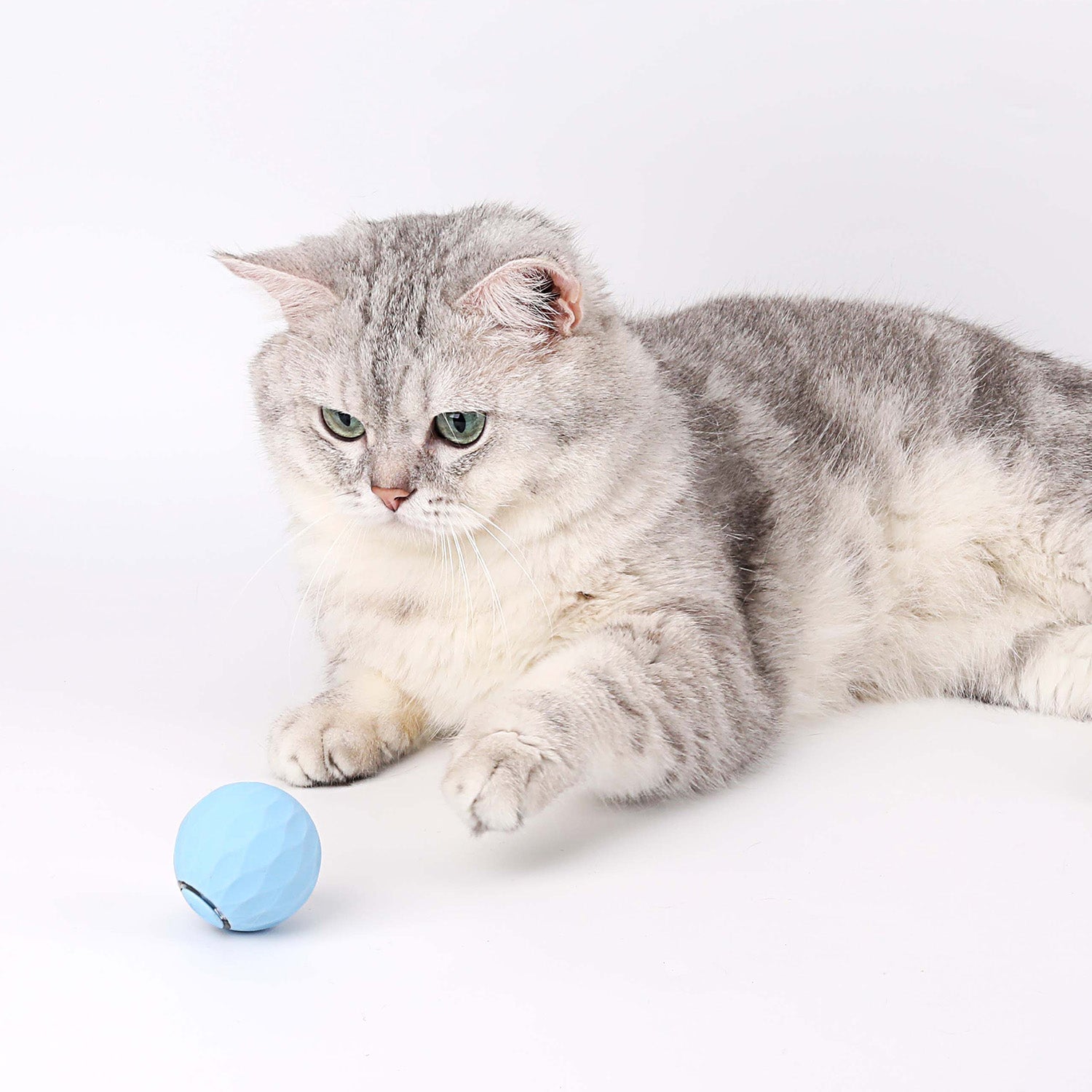 FÉLIBALL™ BALLE INTERACTIVE 2.0 POUR CHAT