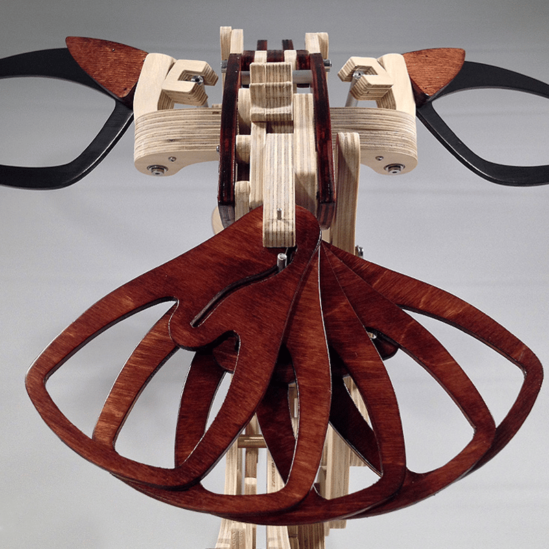 HummiMotion™ – Kit de Construction 3D en Bois avec Effet de Mouvement