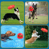 🐾 PawFlyer™ Jouet pour Animaux - Balle Frisbee Volante