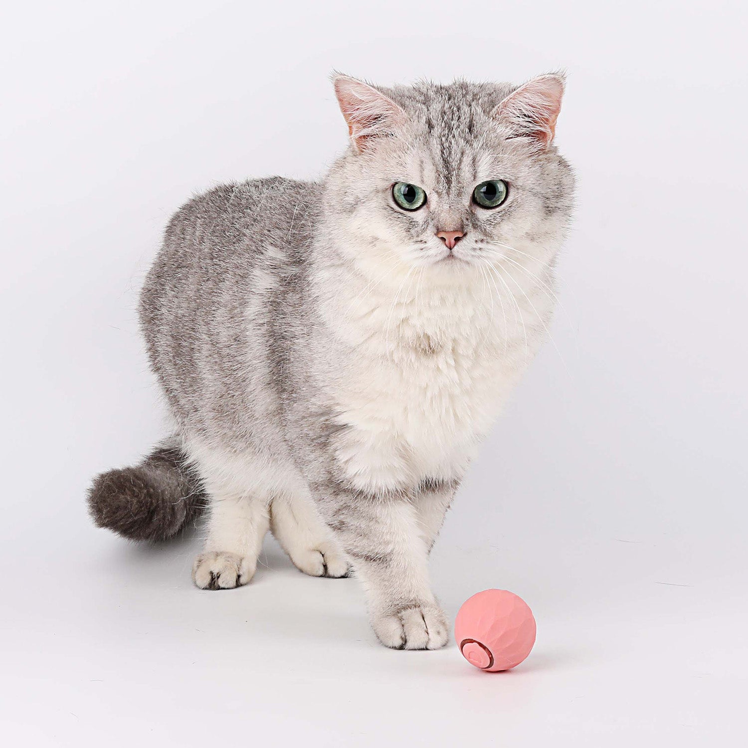 FÉLIBALL™ BALLE INTERACTIVE 2.0 POUR CHAT