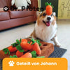 Sniff & Seek™ - Le jouet casse-tête ultime pour chiens avec friandises cachées !