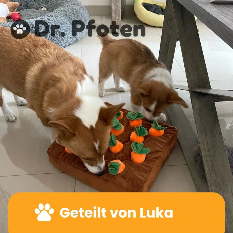Sniff & Seek™ - Le jouet casse-tête ultime pour chiens avec friandises cachées !