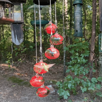 HummiCharm™ – Carillon Envoûtant & Mangeoire à Colibris pour Décoration de Jardin