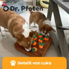 Sniff & Seek™ - Le jouet casse-tête ultime pour chiens avec friandises cachées !
