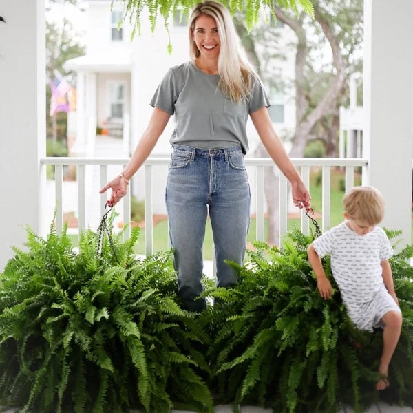 💥 Offre Spéciale Cette Semaine : 19,95 € 🌱GreenGlow™ Fougère Artificielle Ultra-Réaliste Résistante aux UV