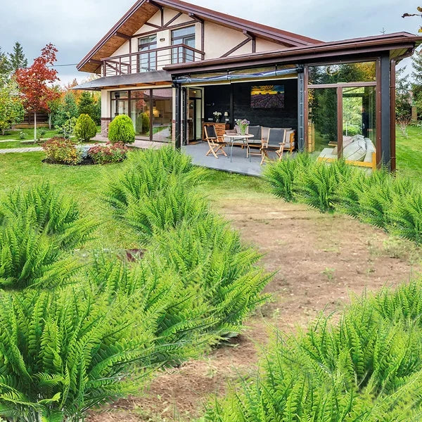 💥 Offre Spéciale Cette Semaine : 19,95 € 🌱GreenGlow™ Fougère Artificielle Ultra-Réaliste Résistante aux UV