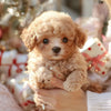 PuppiMate™ Chiot Robotique Ultra-Réaliste avec Mouvements Naturels