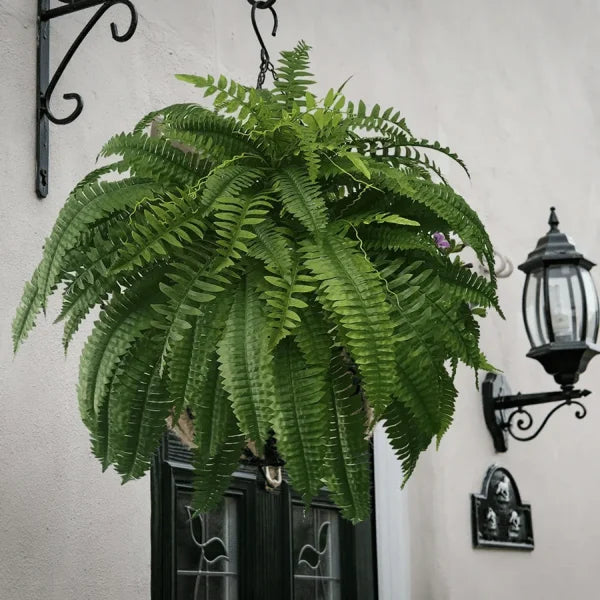 💥 Offre Spéciale Cette Semaine : 19,95 € 🌱GreenGlow™ Fougère Artificielle Ultra-Réaliste Résistante aux UV