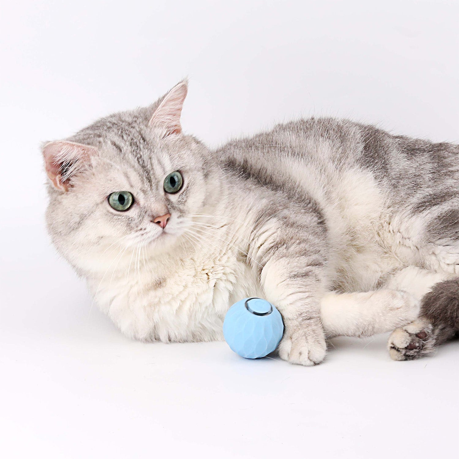 FÉLIBALL™ BALLE INTERACTIVE 2.0 POUR CHAT