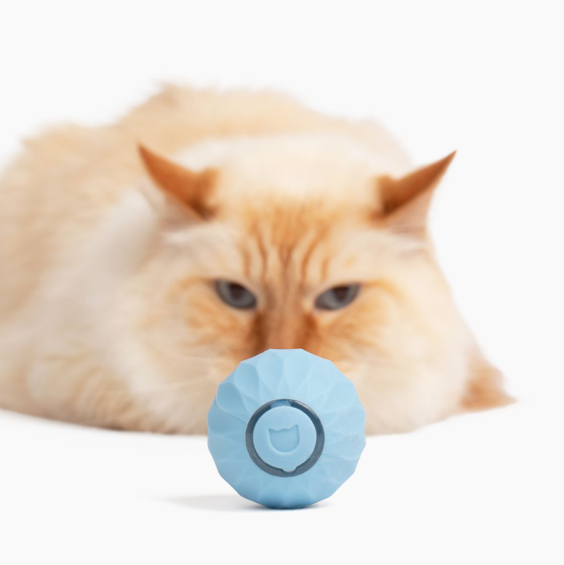 FÉLIBALL™ BALLE INTERACTIVE 2.0 POUR CHAT