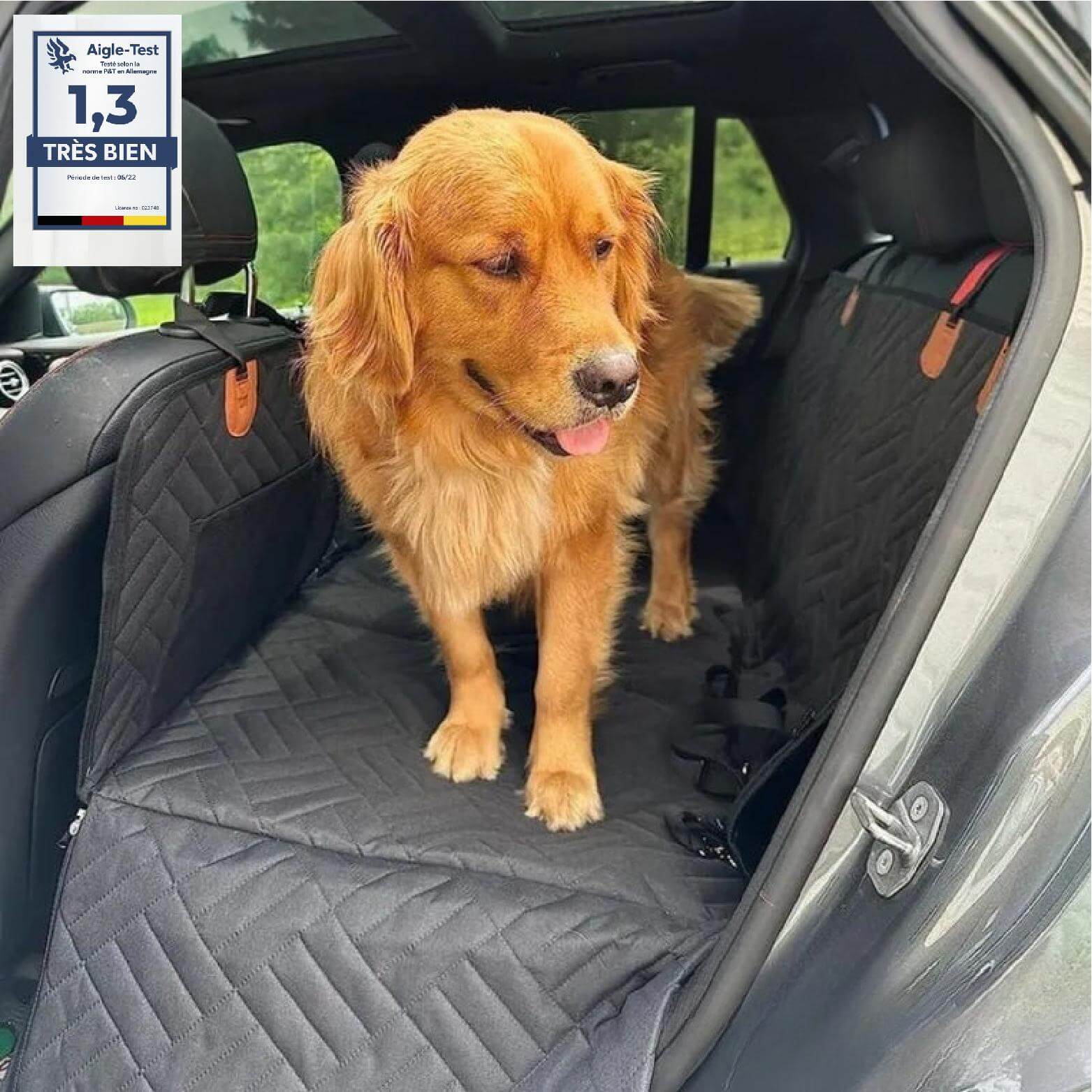 AutoPaws™ – Housse de Siège Auto Robuste pour Chien