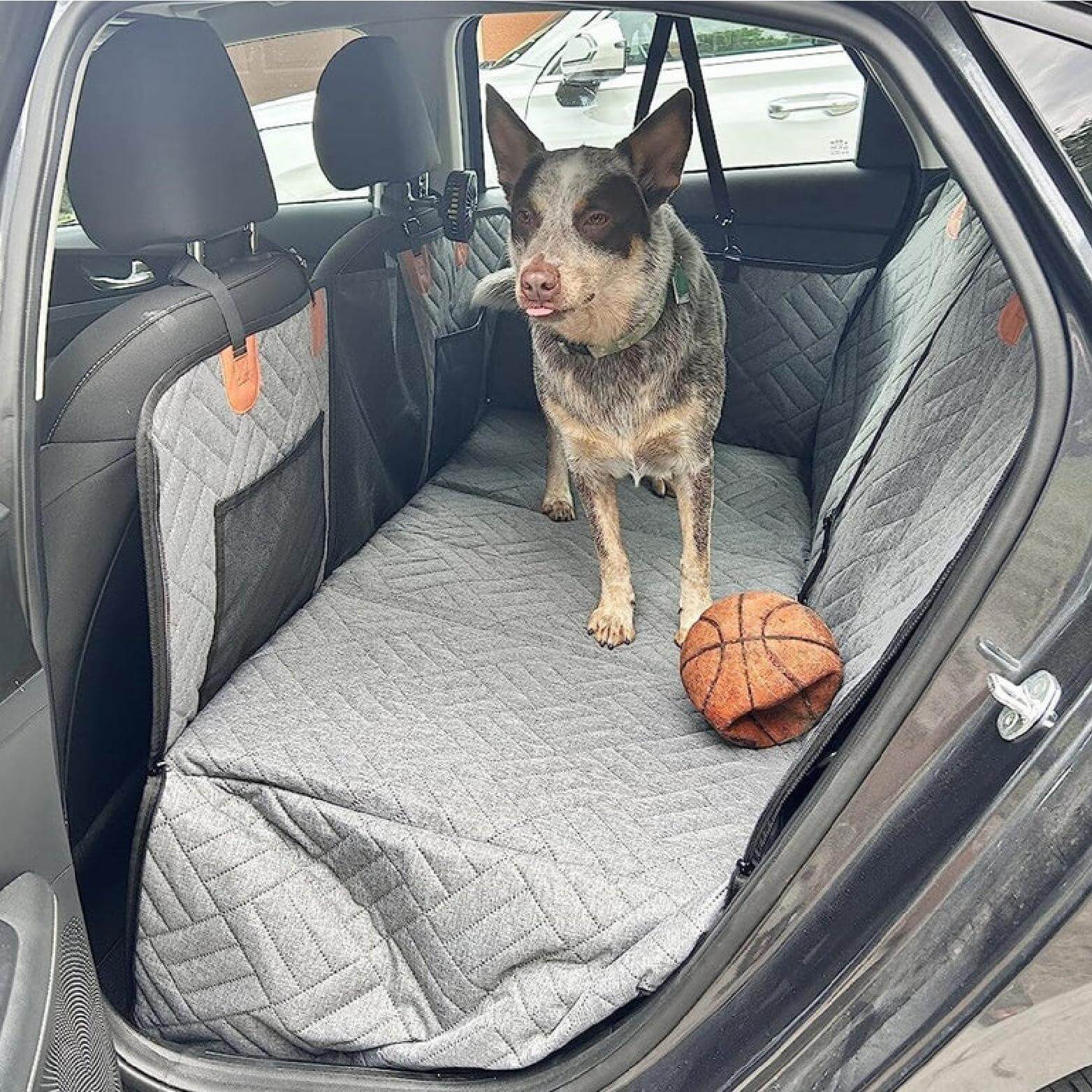 AutoPaws™ – Housse de Siège Auto Robuste pour Chien