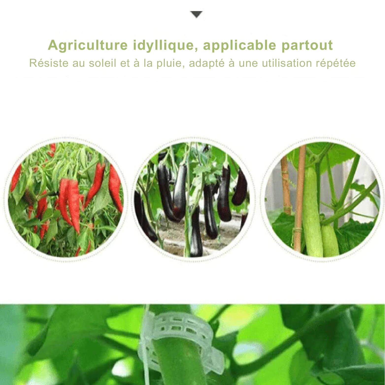 BloomBinder™ - Gardez votre jardin stable et fort !