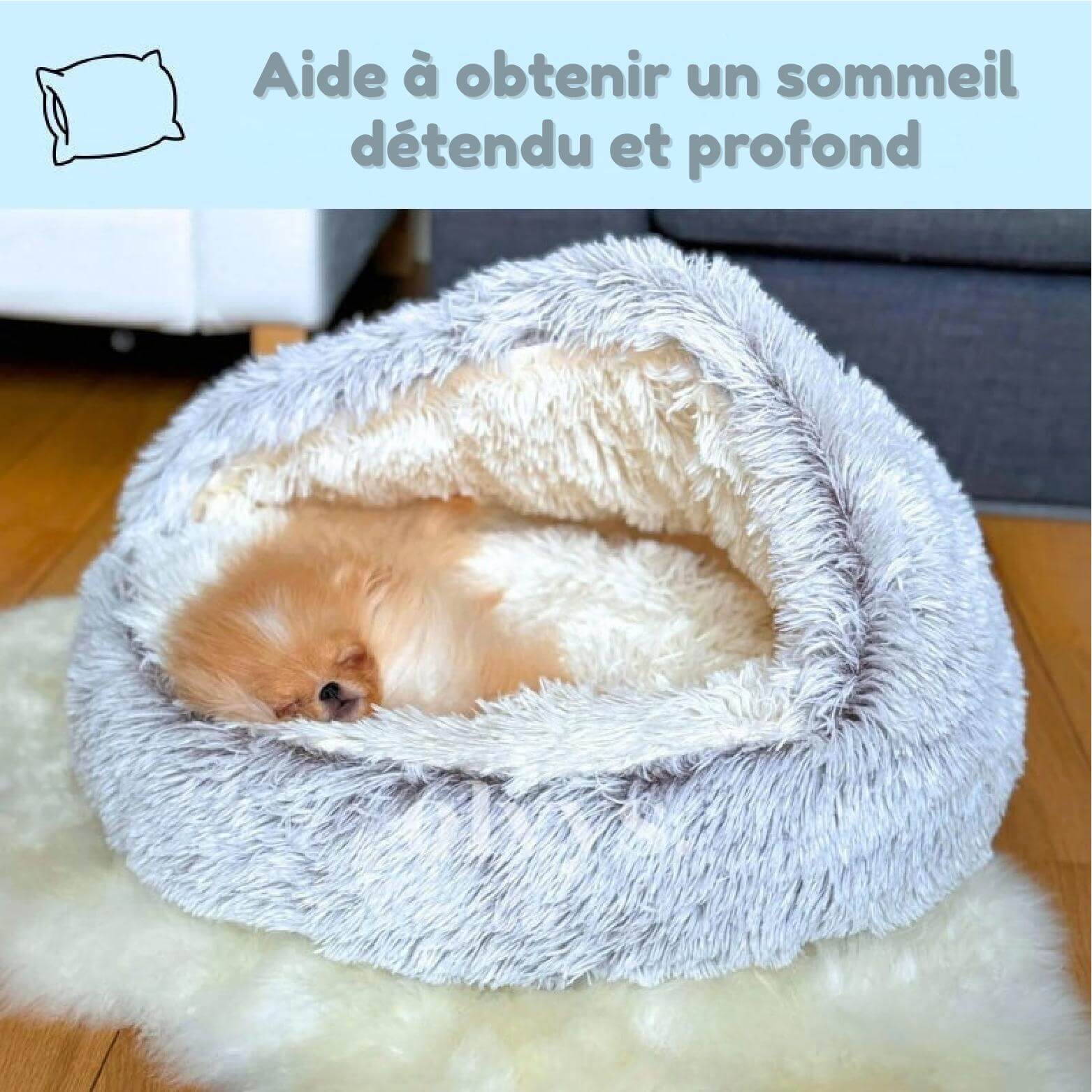 DreamPup™ – Le lit de rêve pour un confort absolu