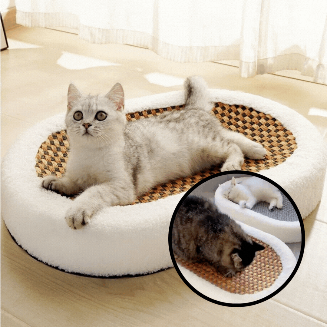 50% de Réduction | ScratchNest™ - Lit pour Chat en Peluche avec Griffoir