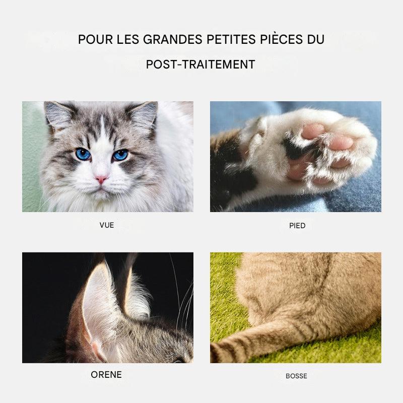PawPerfect™ Mini Tondeuse Pour Animaux
