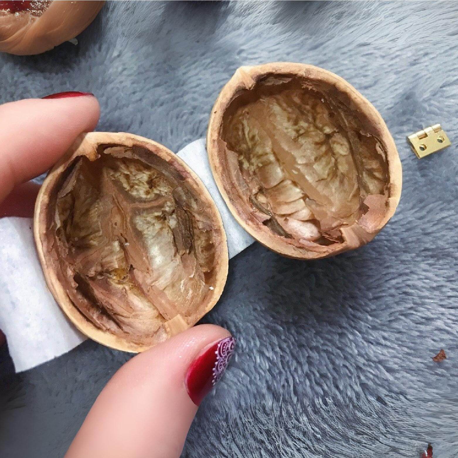 HeartShell™ – Maison de poupée artisanale en coquilles de noix | -50%