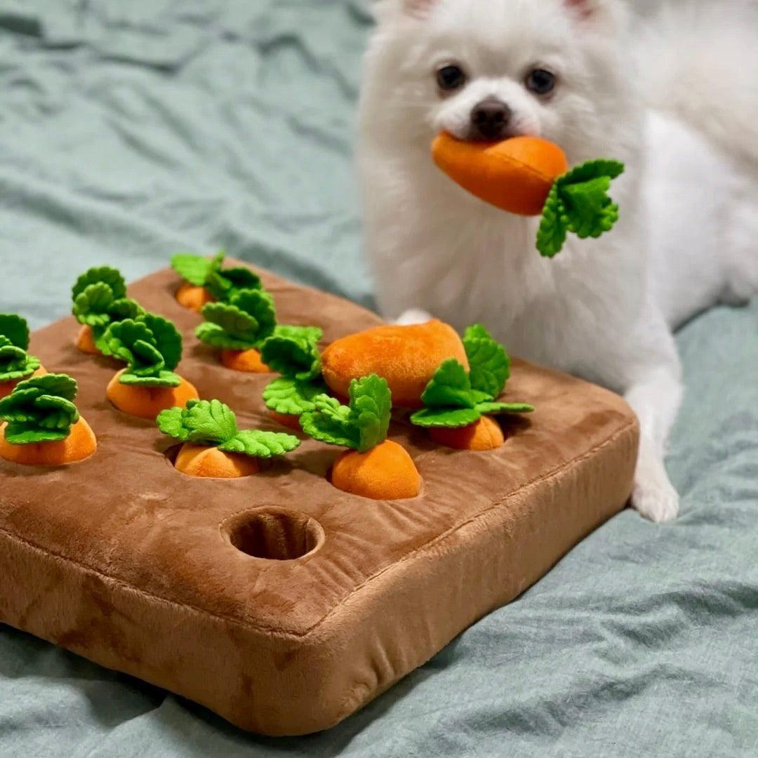 Sniff & Seek™ - Le jouet casse-tête ultime pour chiens avec friandises cachées !